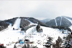 Gợi ý các điểm 'check in' tại Hàn Quốc khi du xuân