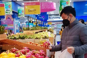 Dự kiến tổ chức ngày hội thanh long ruột đỏ tại Úc