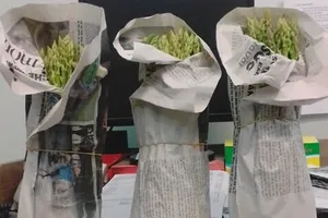 Úc, Thụy Điển muốn mua bún bò Huế, cà pháo... Việt Nam