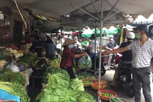 Rau quả thu mua tại vườn tăng giá gấp bốn lần 