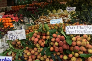 Trái vải đầu mùa Đắk Lắk về TP.HCM, giá khủng 90.000 đồng/kg 