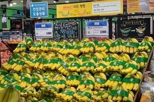 Chuối Việt lần đầu bán ở đại siêu thị Hàn Quốc, 80.000 đồng/kg