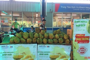 Sầu riêng rụng Tây Nguyên hút khách TP.HCM