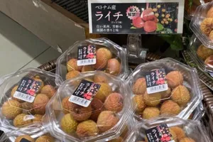 Hàng Việt được đón nhận tại 'Tuần hàng Việt Nam' ở Nhật