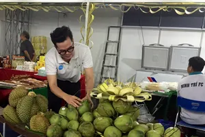 Đại gia Thái Lan đưa dừa Bến Tre sang Đài Loan