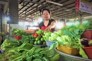 Miền Trung: Giá rau giảm nhưng vẫn còn cao 