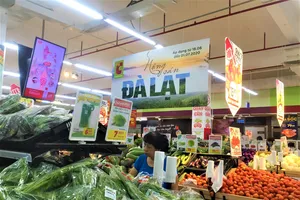 TP.HCM yêu cầu hạn chế tối đa tập trung đông người dịp Tết 