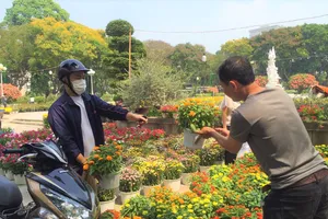 Hoa nhập khẩu từ Nhật Bản hút khách, hoa nội cũng lên ngôi