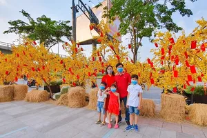 Đường hoa Amazing không gian Tết cổ truyền cho người xa quê