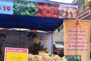 Siêu thị TP.HCM bán nông sản Hải Dương không lợi nhuận