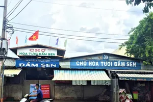 Tạm đóng cửa chợ hoa Đầm Sen, người trồng hoa lo thiệt hại 100 tỷ đồng