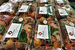 Trái vải thiều nổi tiếng Thanh Hà lần đầu tiên sang châu Âu