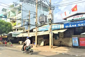 Hàng triệu cành hoa Đà Lạt 'thoát ế'