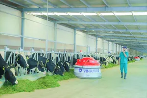 Thương hiệu nào được chọn mua nhiều nhất giữa mùa dịch?