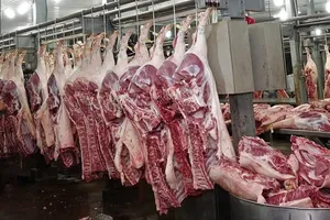 Chợ đầu mối Thủ Đức tiếp nhận rau củ, trái cây từ chợ Bình Điền 