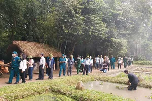 'Cứ một ngày nằm không, hãng bay lại mất một chiếc Camry'