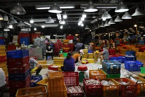 Ngày đầu tiên chợ đầu mối lớn nhất TP.HCM mở cửa 100% 