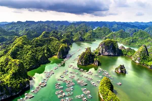 Nhiều tour Tết được tung ra với giá từ hơn 1 triệu đồng 