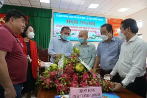 Long An: Hơn 30.000 tấn thanh long đang chờ người mua