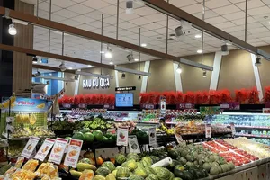 Việt Nam đứng đầu ASEAN thu hút đầu tư Nhật Bản trong vài năm tới 