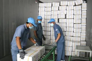 1 container cá diêu hồng được xuất sang Hàn Quốc ngày đầu năm