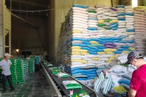 Kiều bào hiến kế đưa hàng Việt ra thế giới 