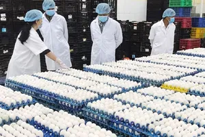 Công ty Ba Huân thông tin việc bán 25% cổ phần, bổ nhiệm Tổng giám đốc 