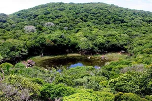 Núi Chúa- Khu dự trữ sinh quyển mới của thế giới. ẢNH: T.TRUNG