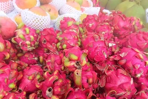 Thanh long ruột đỏ giá 6.000 đồng/kg bán ở vỉa hè. ẢNH: TÚ UYÊN