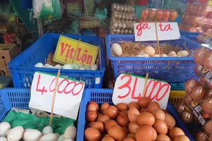 Nguồn cung thiếu trầm trọng, giá trứng gia cầm "leo thang"