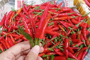 Malaysia đã bỏ lệnh cấm nhập khẩu ớt Việt, doanh nghiệp vẫn 'lơ mơ'