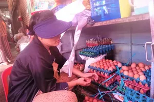 TP.HCM: Lý do trứng gia cầm bình ổn giá chỉ giao được 40% nhu cầu của siêu thị