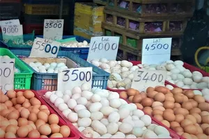 Trứng gà, vịt bình ổn chính thức tăng thêm 2.000 đồng/hộp