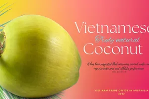 Thương vụ Việt Nam tại Úc quảng bá dừa 