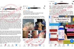 Thu hồi giấy phép hoạt động đa cấp của 1 công ty 