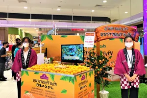 Quýt Unshu nổi tiếng Nhật Bản được quảng bá tại Việt Nam 