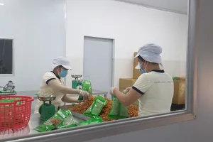 Thịt thực vật làm từ mít non, đậu nành... vào giỏ quà Tết