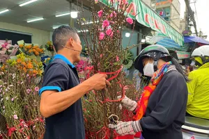Người dân TP.HCM bắt đầu mua đào phía Bắc về đón Tết sớm