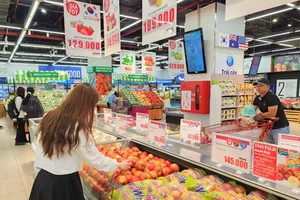 Doanh nghiệp Hàn Quốc rót vốn đầu tư nhiều nhất vào Việt Nam 