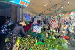 Giá cam sành có nơi rớt thảm chỉ còn 1.500 đồng/kg 