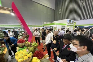 Hoa Hà Lan khoe sắc tại hội chợ ở TP.HCM