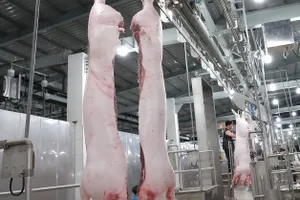 Heo hơi sẽ thiết lập mặt bằng giá mới?