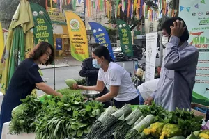 Đây là lý do Bangladesh tới tấp nhận đơn hàng, công ty Việt 'thua đau'