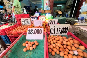 Giá trứng gà chỉ từ 17.000-18.000 đồng/chục