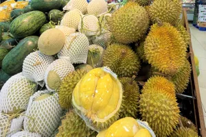 Nửa cuối tháng 5, xuất khẩu rau quả thu về 422 triệu USD chủ yếu nhờ sầu riêng