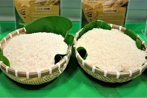 Gạo Việt trưng bày triển lãm Quốc tế ngành Lương thực thực phẩm TP.HCM lần hai năm 2023. ẢNH: TÚ UYÊN