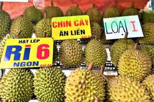 Xuất khẩu rau quả là điểm sáng trong sáu tháng đầu năm. ẢNH: TÚ UYÊN