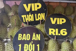 Trung Quốc tăng mua giá sầu riêng tăng cao. ẢNH: TÚ UYÊN 