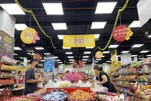Người dân đi siêu thị mua sắm Tết năm 2023. ẢNH: TÚ UYÊN