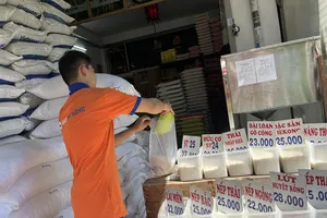 Giá gạo trong nước tăng theo giá xuất khẩu. ẢNH: TÚ UYÊN